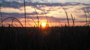 Le coucher de soleil évoque les épreuves diffciles d'une vie