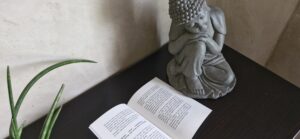 Lire la suite à propos de l’article Le livre de B.